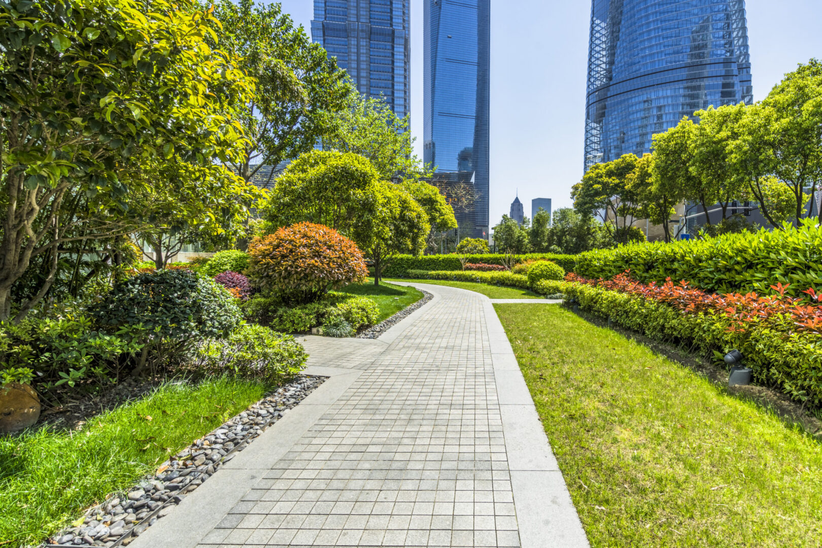 Beautiful park at a sunny day Pathway through green park with skyscrapers behind.